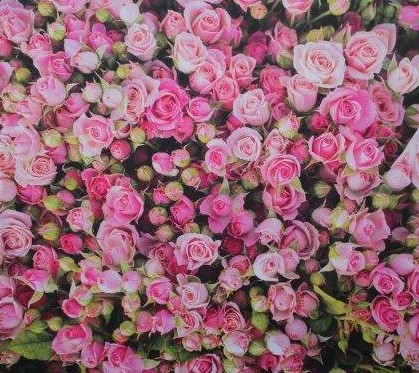 Floral Paradise Backdrop